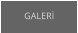 GALERİ