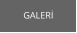 GALERİ