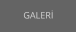 GALERİ
