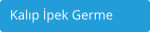 Kalıp İpek Germe
