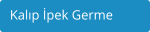 Kalıp İpek Germe