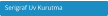 Serigraf Uv Kurutma